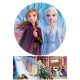 27274R disc vafa Anna si Elsa Regatul de gheata 2 D20cm